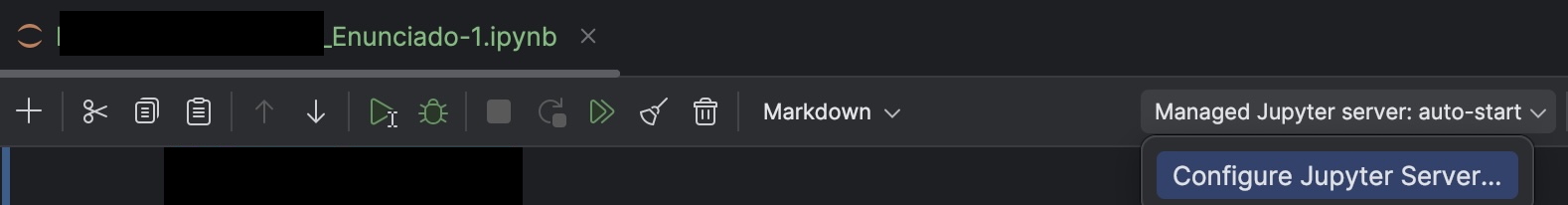 configure_jupyter_interpreter.jpg